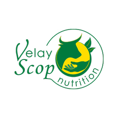 Velay Scop